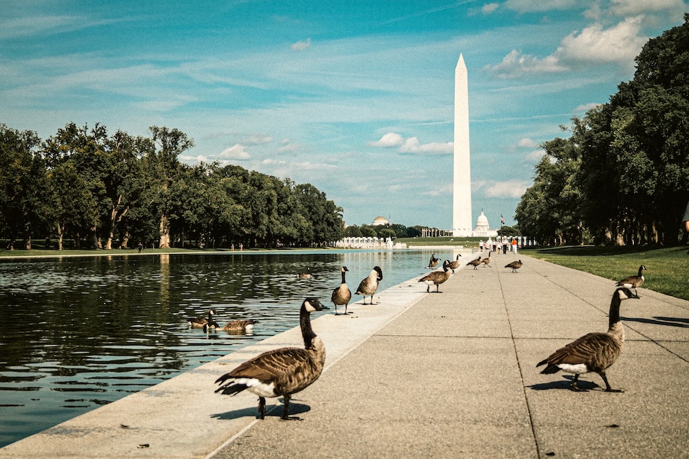 Washington hotels